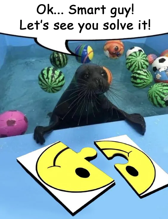 A seal is in a pool surrounded by watermelons and colorful balls, looking at two puzzle pieces of a smiley face that don't…