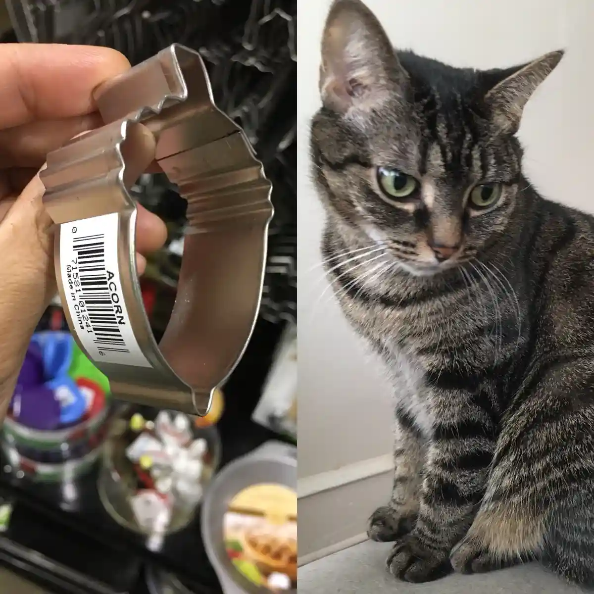 A split image shows a hand holding a metal cookie cutter shaped like an acorn with a barcode label reading 'ACORN' and 'Made…
