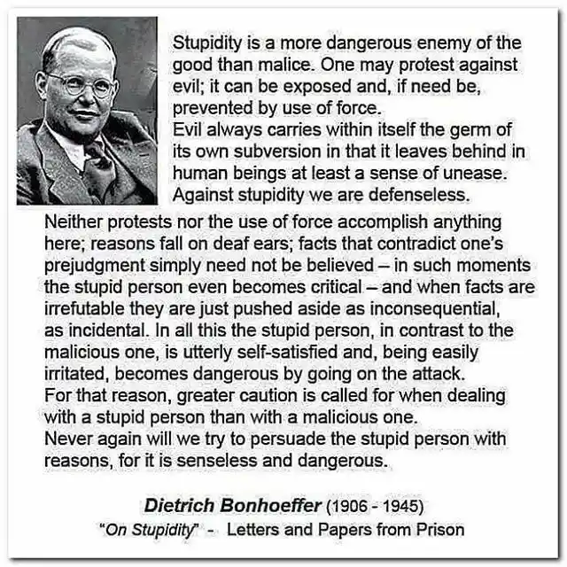 Stupidity has become a weapon, and I’m at a loss for how to fight back.