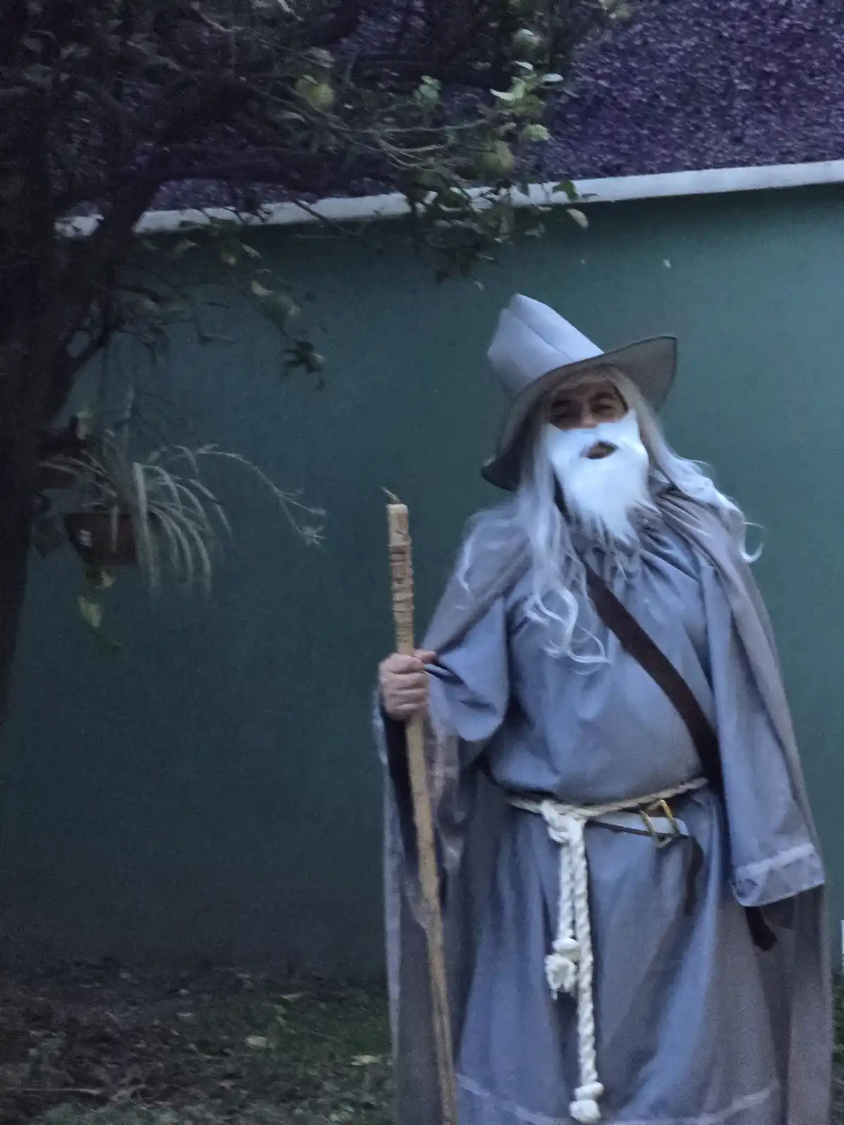 A person dressed as a wizard with a long white beard, grey robe, and pointed hat stands holding a wooden staff. The…