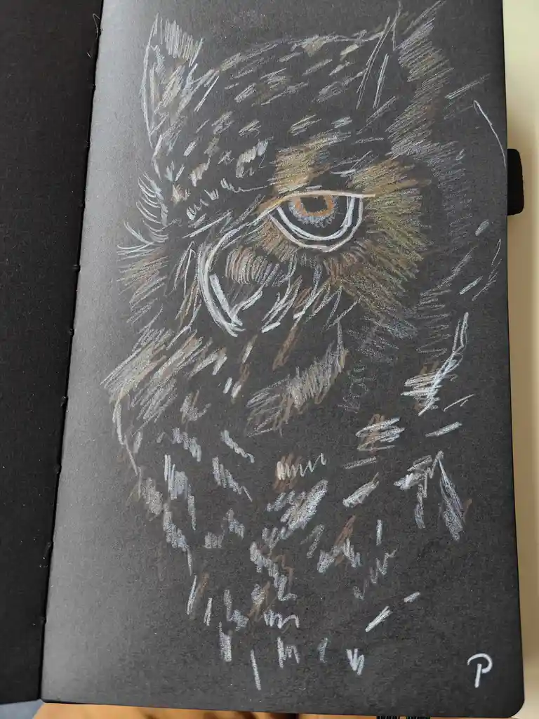 The Wise Owl: Nature's Symbol of Knowledge