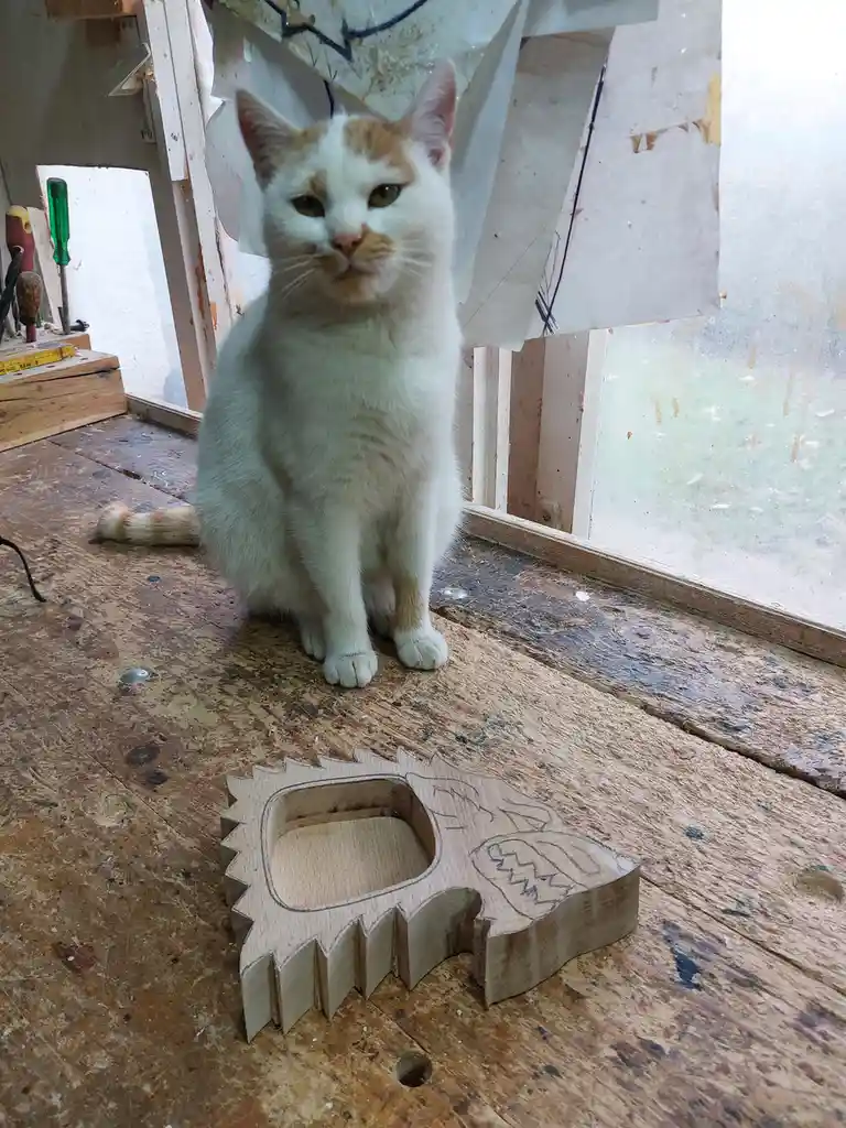 A white and orange cat sits on a wooden workbench in a workshop, looking directly at the camera with a neutral expression…
