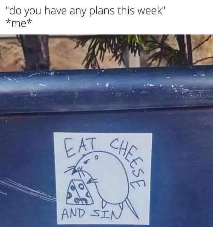 A hand-drawn sticker on a blue trash can shows a cartoon animal eating a slice of cheese, with the text 'EAT CHEESE AND SIN'…