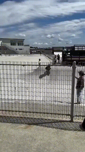 A young child wearing a helmet and protective gear attempts a skateboarding trick on a metal fence at a skatepark. The…