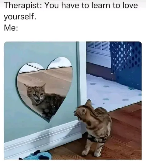 A tabby cat stands on a wooden floor, staring intently at its reflection in a heart-shaped mirror mounted on a light blue…