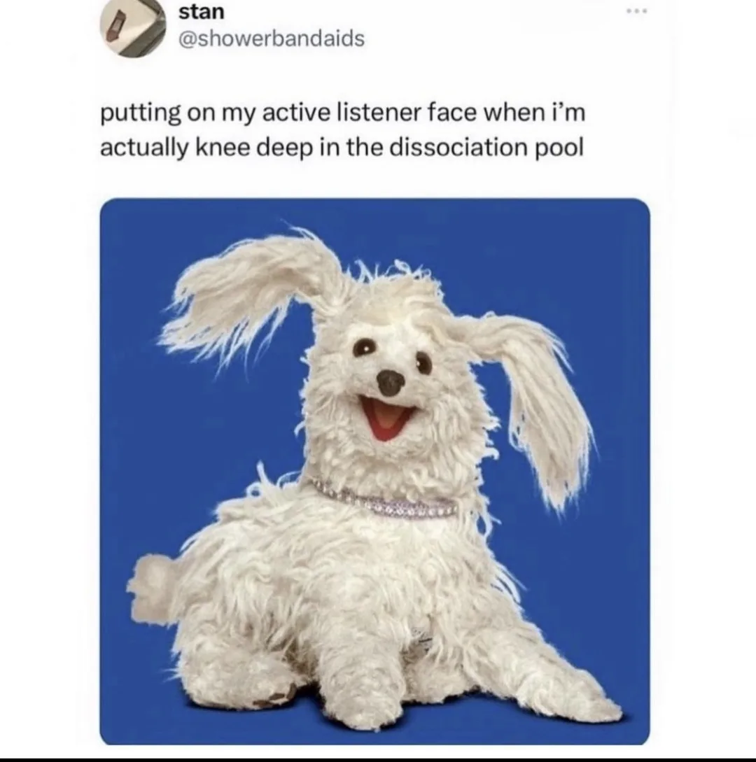 A fluffy white dog with long ears and a diamond collar sits against a solid blue background, smiling widely with its mouth…
