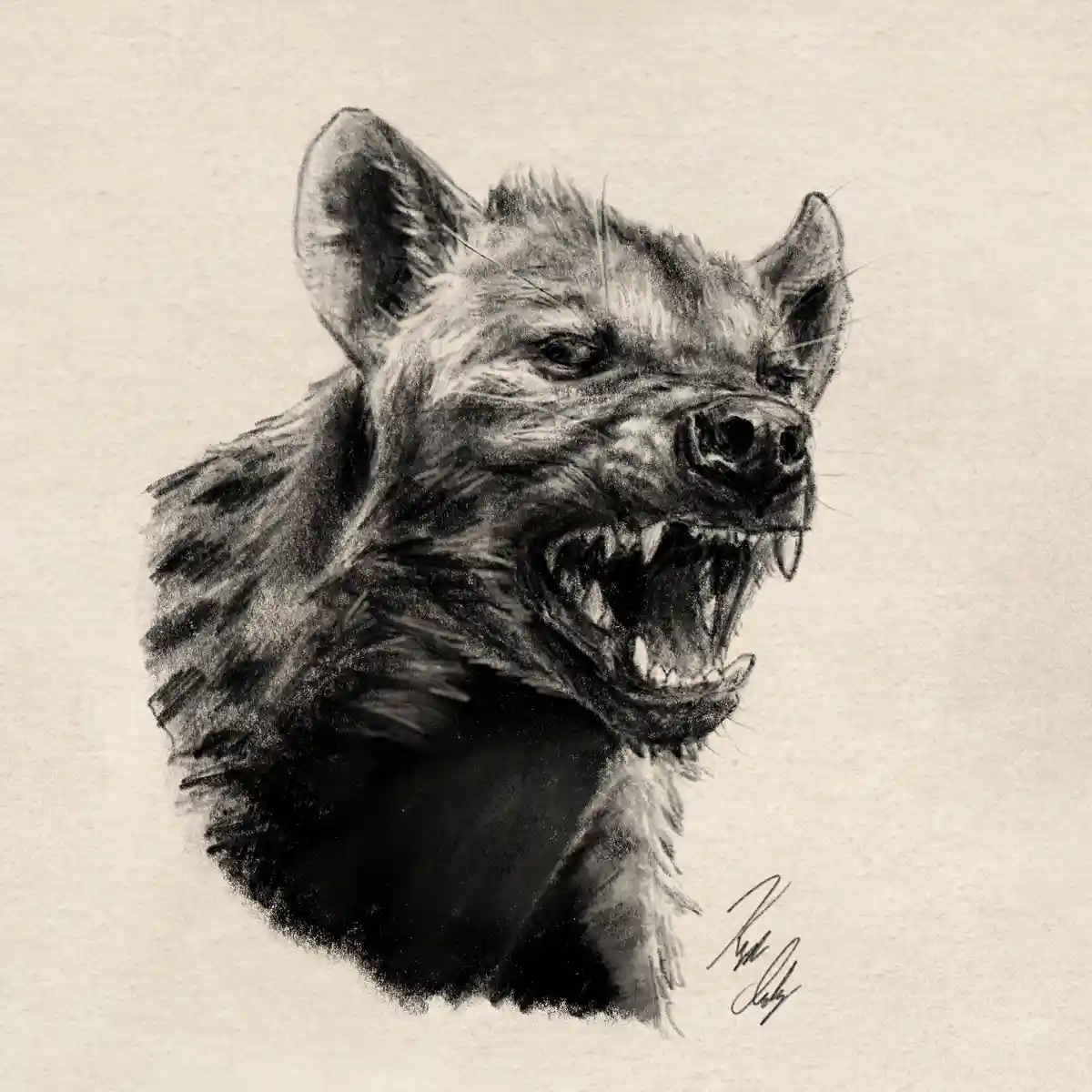 A detailed charcoal sketch of a hyena's head, rendered with intense shading and texture, showing its snarling face with…