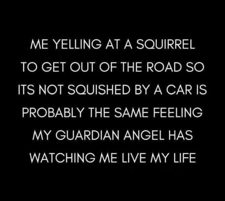 The image is a solid black background with white, centered, all-caps text that reads: 'ME YELLING AT A SQUIRREL TO GET OUT…