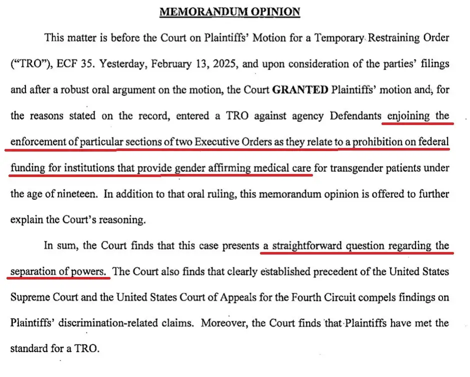 A legal document titled 'MEMORANDUM OPINION' from a fictional court case dated February 13, 2025, is shown with several key…