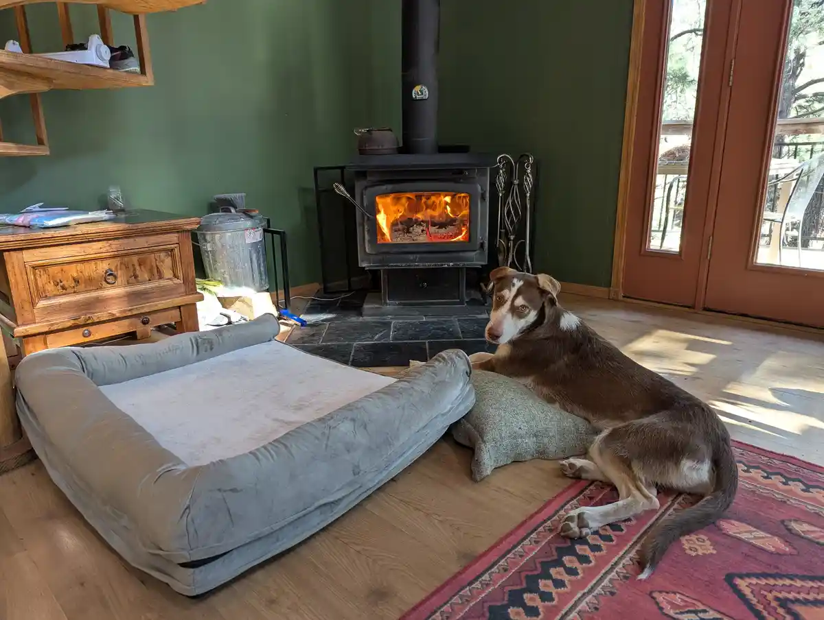 A brown and white dog lies on a rug next to an empty, plush dog bed, with a lit wood stove glowing warmly in the background…