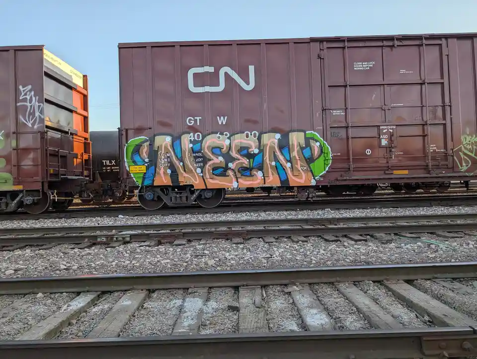 A brown CN freight train car with large, colorful graffiti spelling 'CASSIDY' in stylized bubble letters is parked on…