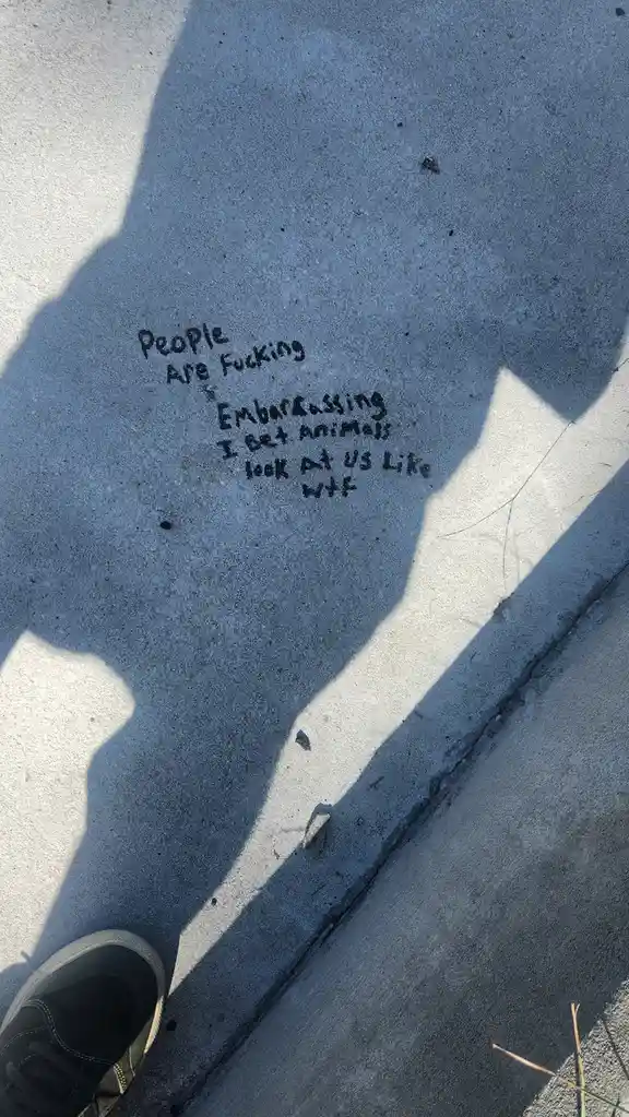 A person's shadow is cast on a concrete sidewalk, and within the shadow, someone has written in black marker: 'People Are…