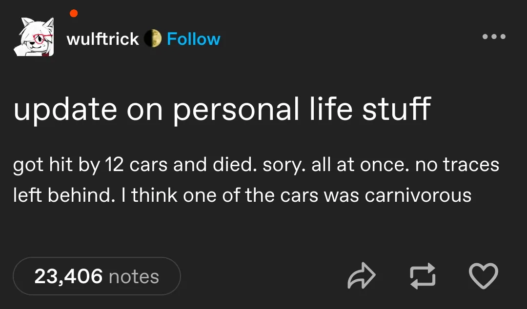 A screenshot of a Tumblr post by user 'wulftrick' with a dark background and white text. The post is titled 'update on…
