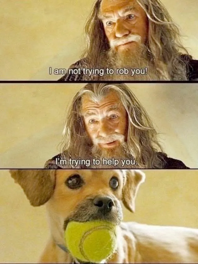 The image is a three-panel meme. The top two panels show a close-up of the character Gandalf from 'The Lord of the Rings'…