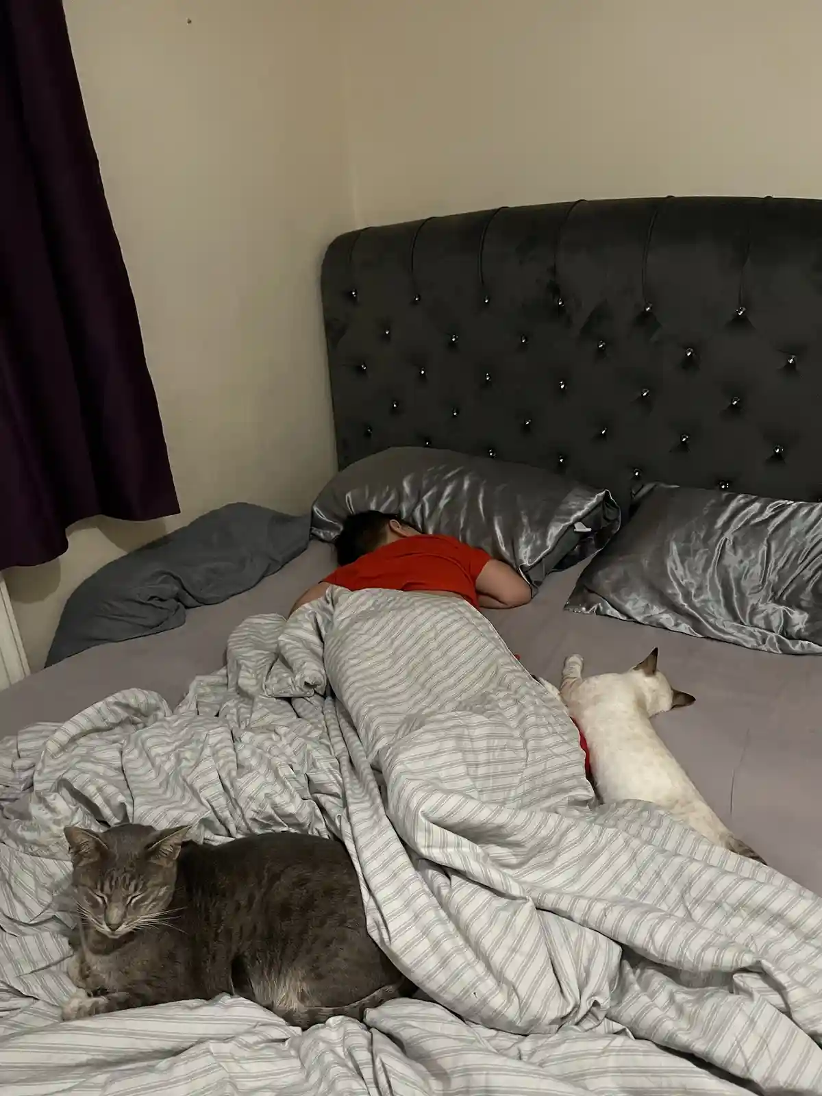 Guess I'll just make myself comfortable on the floor!