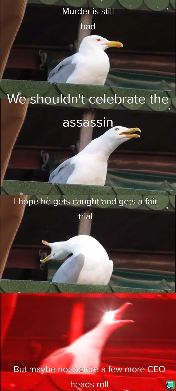 A four-panel meme featuring a seagull in different poses and expressions, overlaid with text that starts with moral…