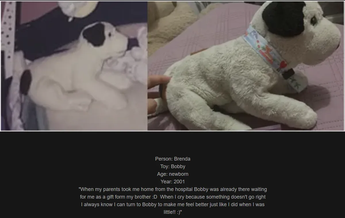 A split image shows a newborn baby in a hospital bassinet on the left and a white stuffed dog toy with black ears and a…