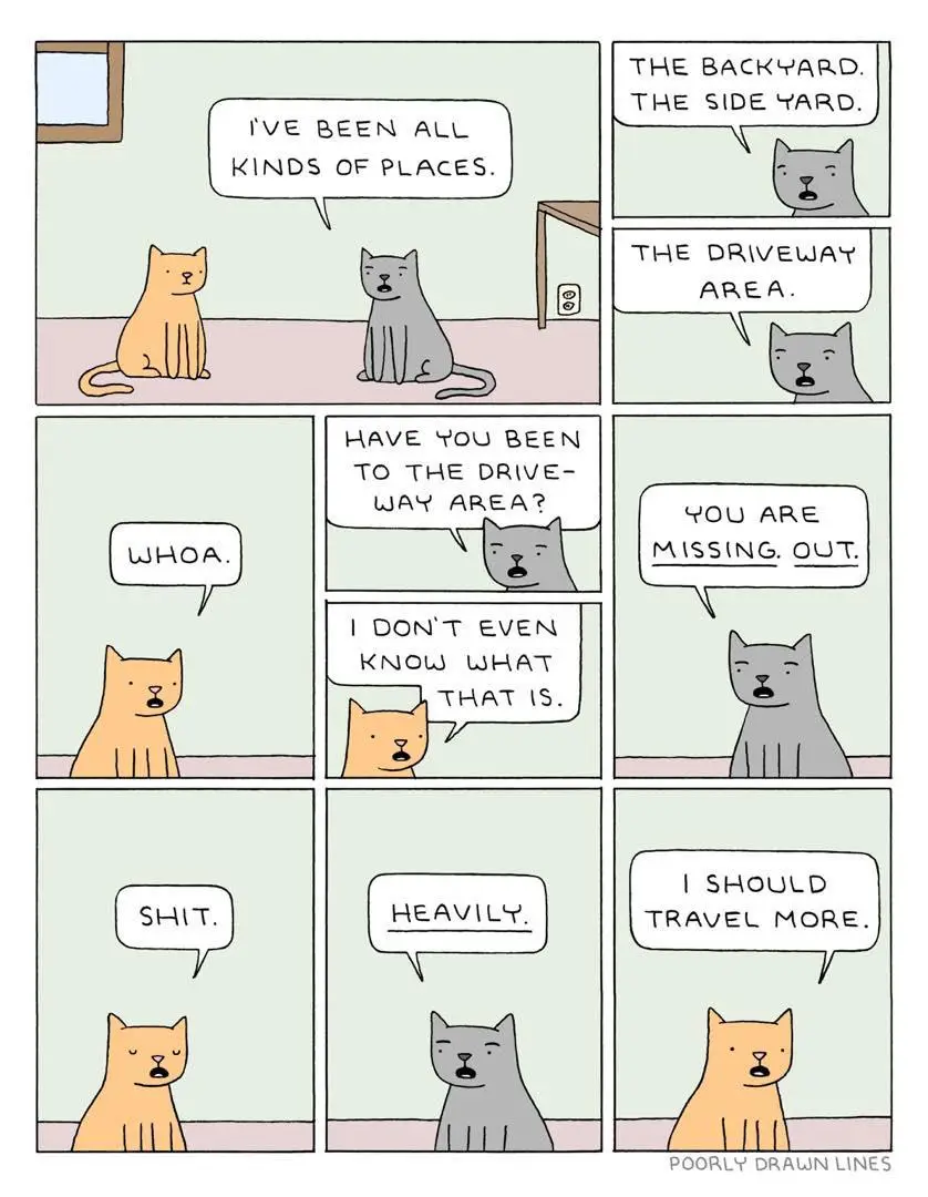 A comic strip featuring two cats having a conversation. The gray cat boasts about visiting various outdoor areas like the…