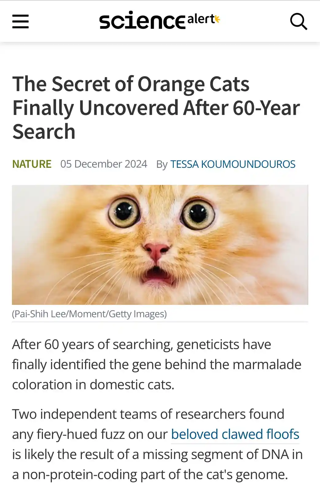 A screenshot of a ScienceAlert article titled 'The Secret of Orange Cats Finally Uncovered After 60-Year Search' features a…