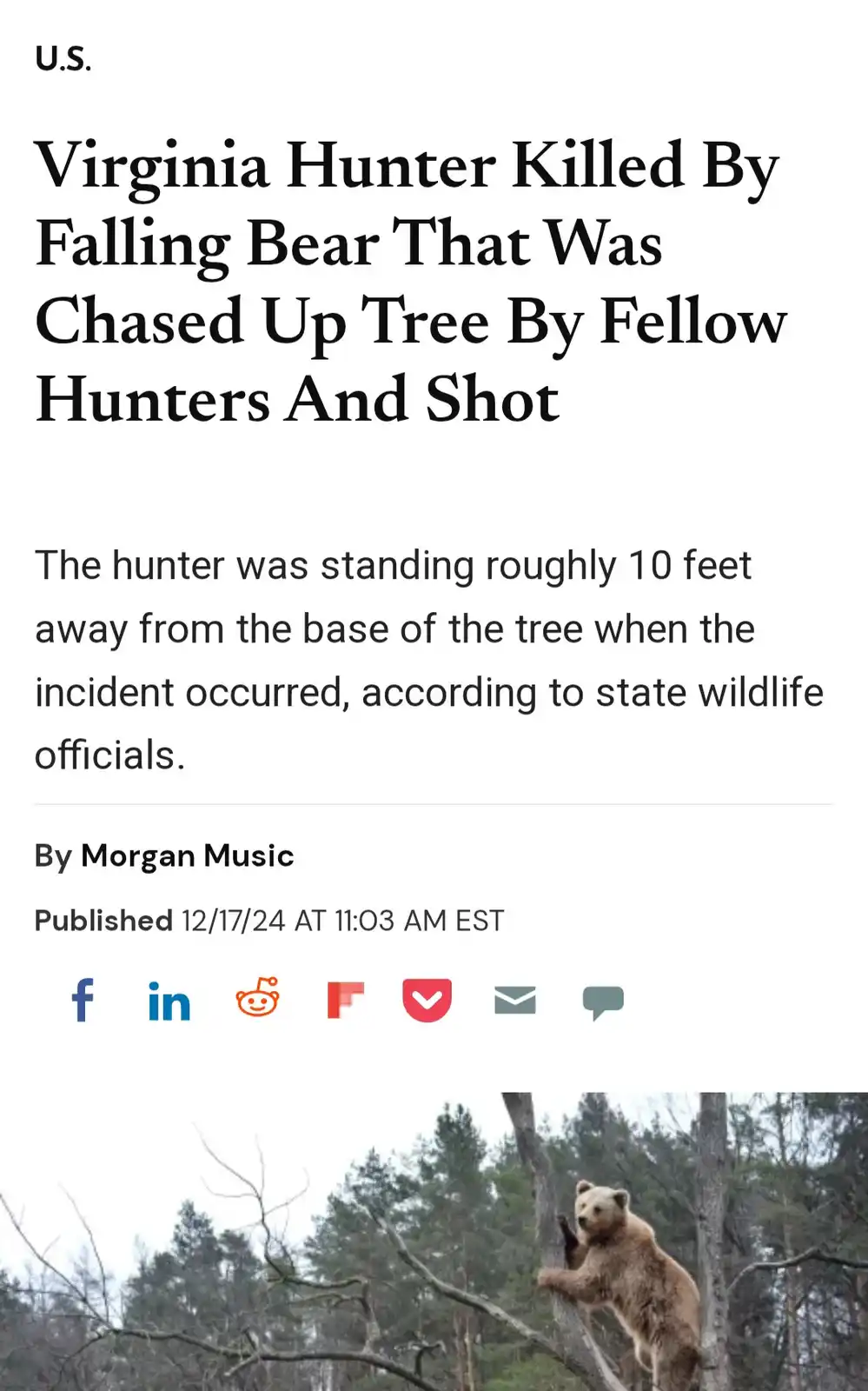 A screenshot of a news article with a headline about a Virginia hunter being killed by a falling bear, accompanied by a…