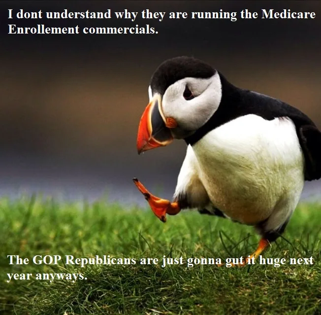 A photograph of a puffin standing on green grass, looking confused or bewildered, with white text overlaid at the top and…