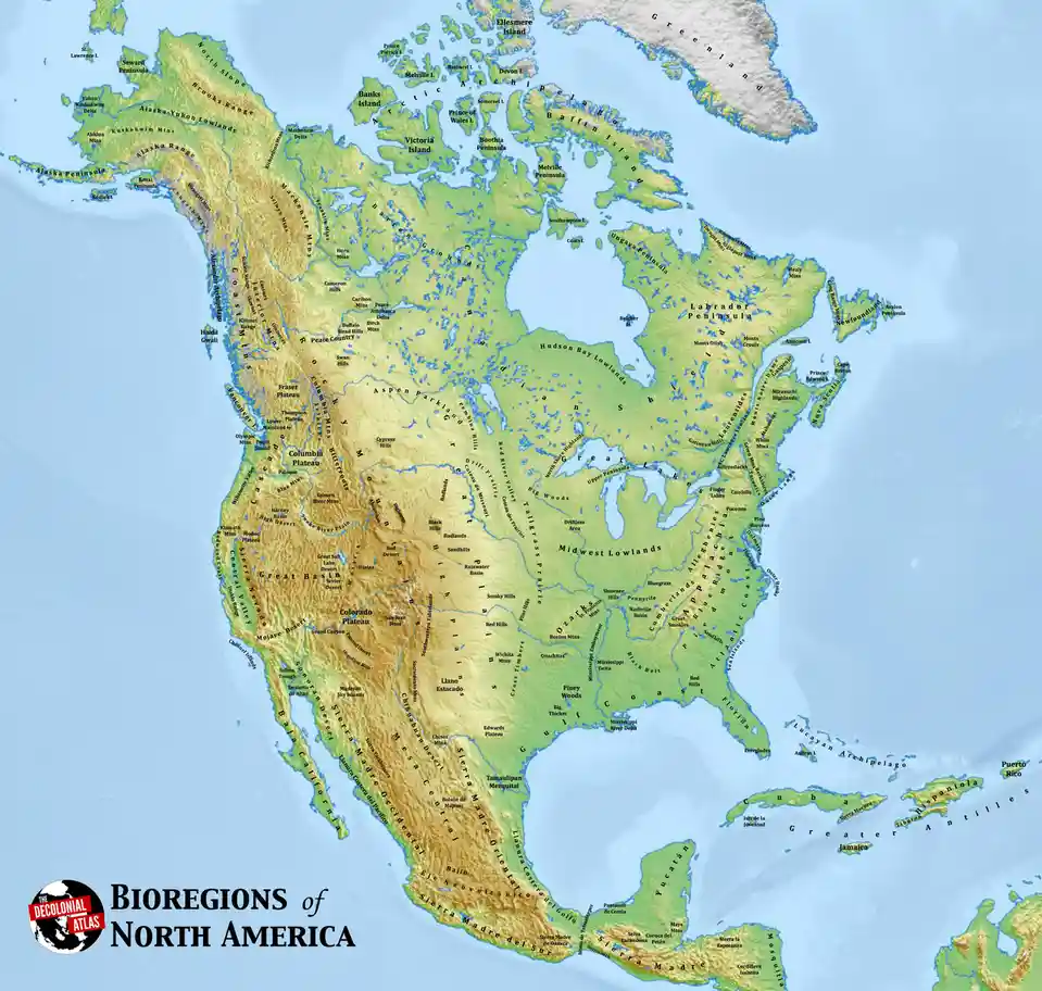 A detailed map of North America labeled with its bioregions, such as the Great Basin, Sierra Madre, and Hudson Bay Lowlands…