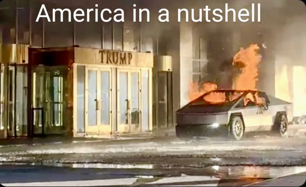 Kicking Off the New Year with a Fresh Meme Dump!