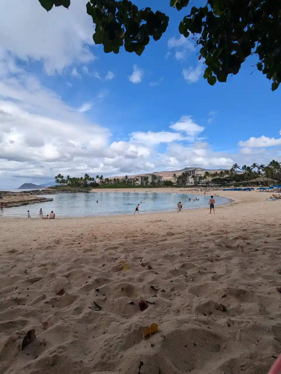 A scenic beach photo with people swimming and relaxing under a partly cloudy sky, framed by tree leaves at the top. The sand…