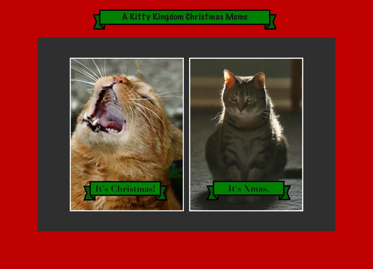 Countdown to Christmas in the Kitty Kingdom: Meme #18 (Original Content)