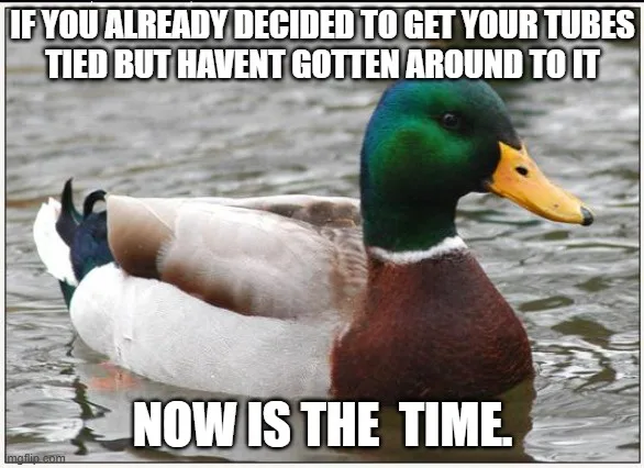 A mallard duck with a green head and yellow beak is floating calmly in water. The image has bold white text overlaid: 'IF…