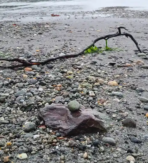 A small, round, greenish stone is balanced perfectly on top of a larger, dark, wet rock on a pebbly beach, with seaweed and…