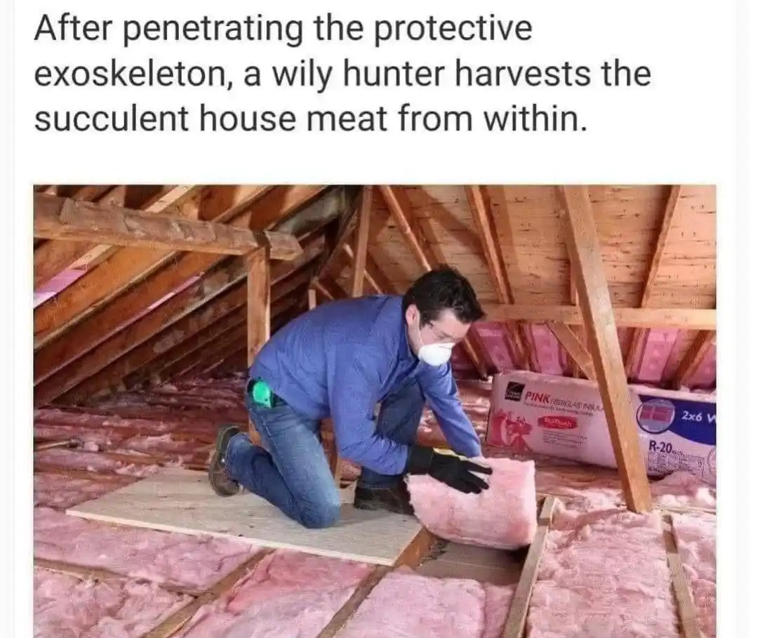 A man wearing a face mask and gloves kneels in an attic, pulling pink fiberglass insulation from between wooden beams. The…