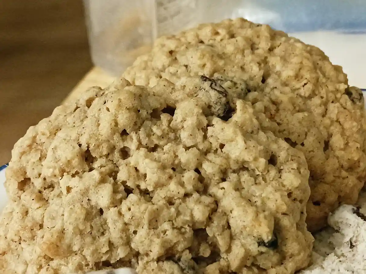 A close-up photo shows a large, textured oatmeal cookie with visible raisins, resting on a plate. The overlaid text reads…