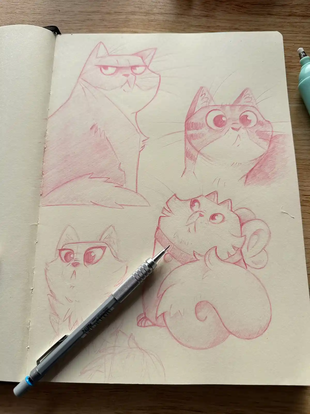 A sketchbook page shows four red pencil drawings of cartoon cats with different expressions: one grumpy, one surprised, one…