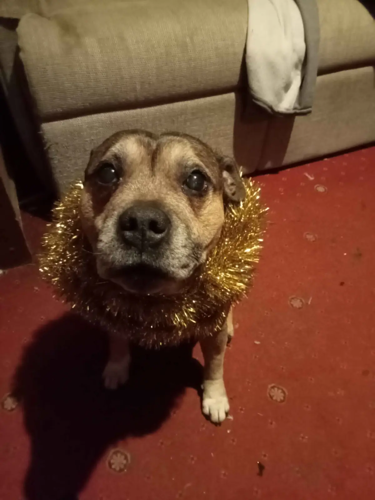 He's All Set and Ready to Go