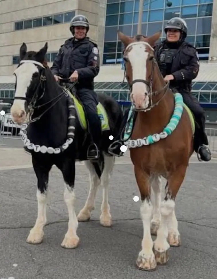 Two police officers are riding horses in front of a building. The black horse on the left has a necklace of white buttons…
