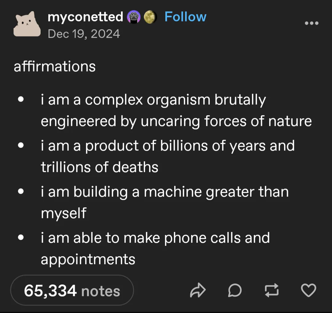 A screenshot of an Instagram post by 'myconetted' dated Dec 19, 2024, showing a list titled 'affirmations' with four bullet…