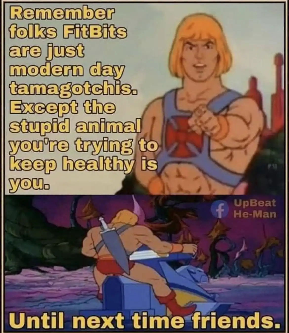 The image is a two-panel meme featuring He-Man from the 1980s animated series. In the top panel, He-Man points forward with…