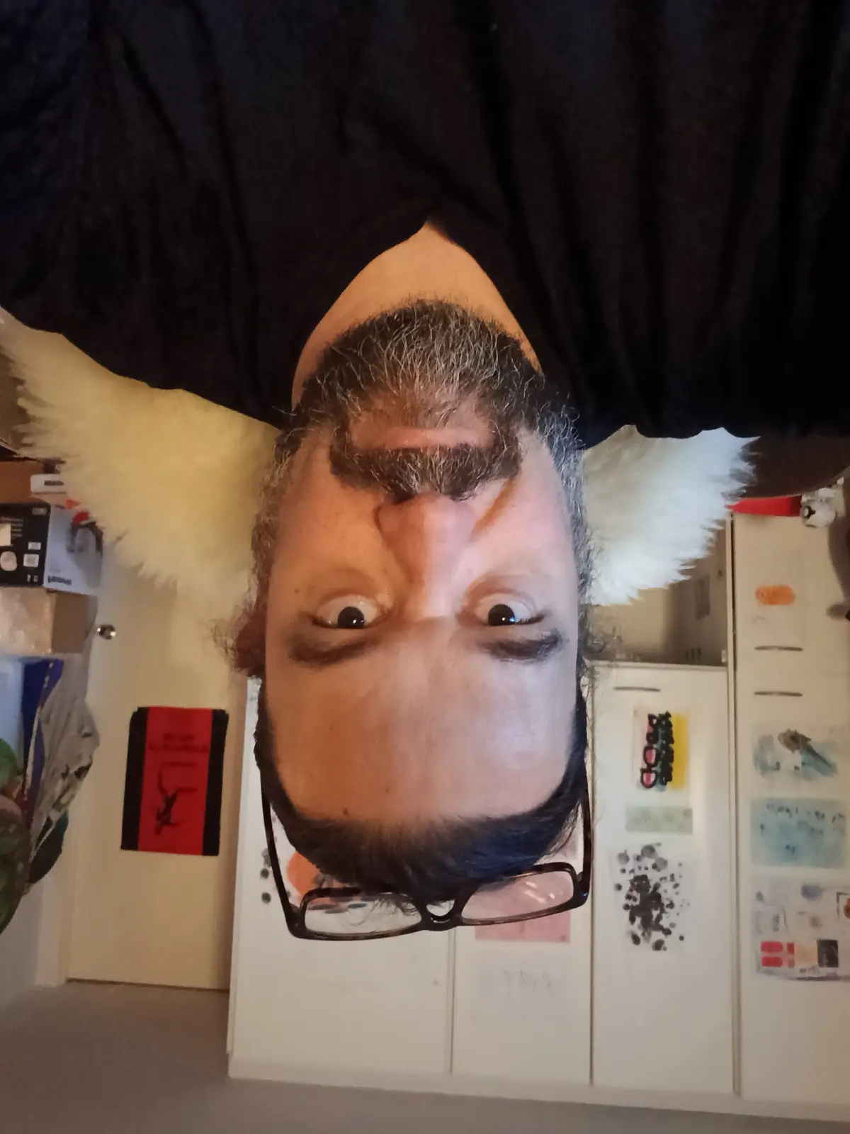 A man with a beard and glasses is photographed upside down, his head near the bottom of the frame, wearing a black shirt and…