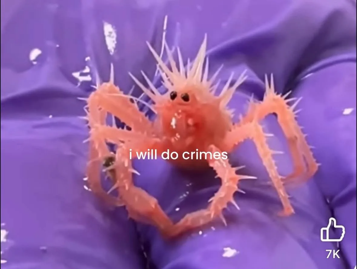 A small, spiky, orange crab-like creature with large eyes is held in a purple gloved hand. The creature's legs are spread…