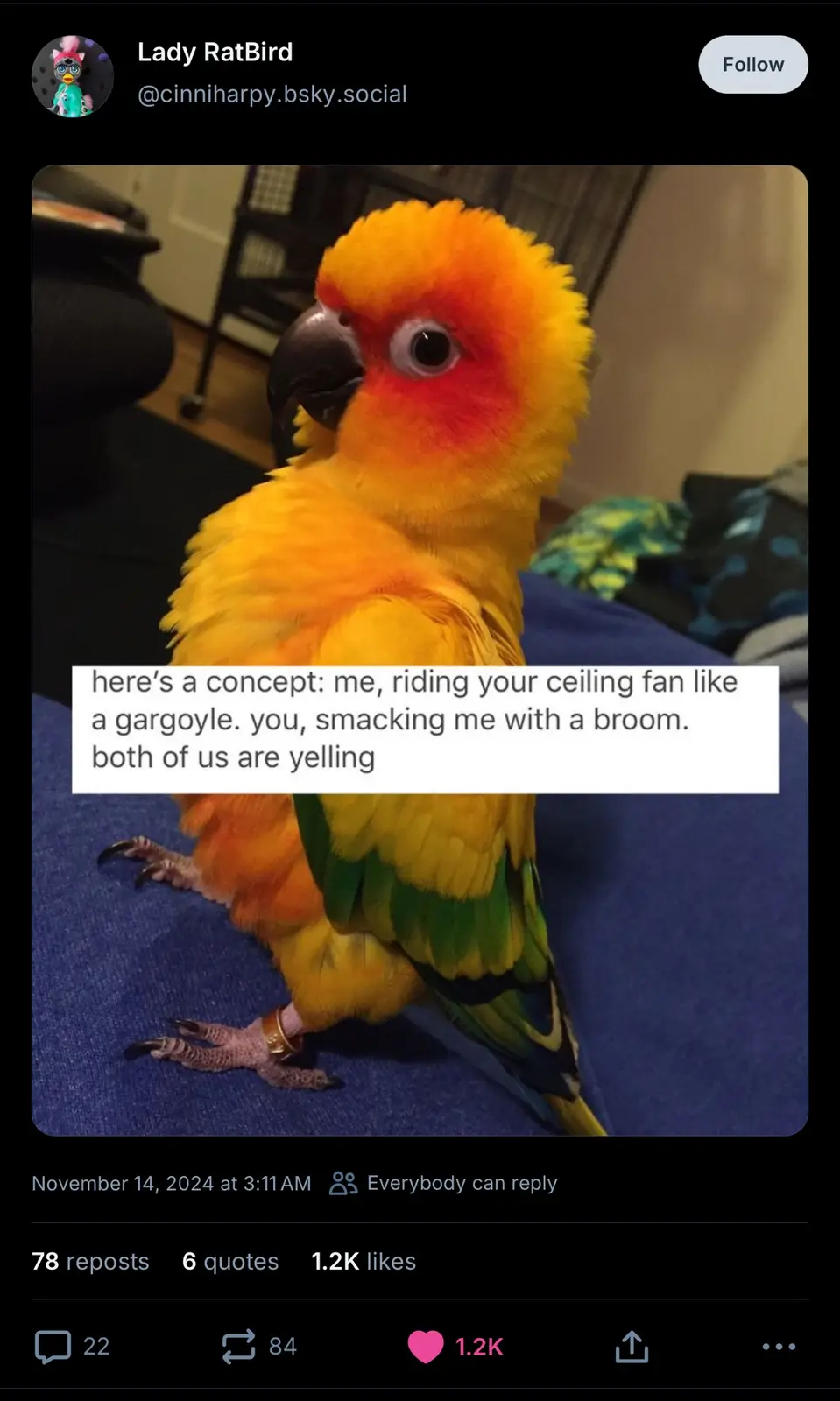 A close-up photo of a sun conure parrot with bright yellow and orange feathers, perched on a blue fabric surface. The bird…