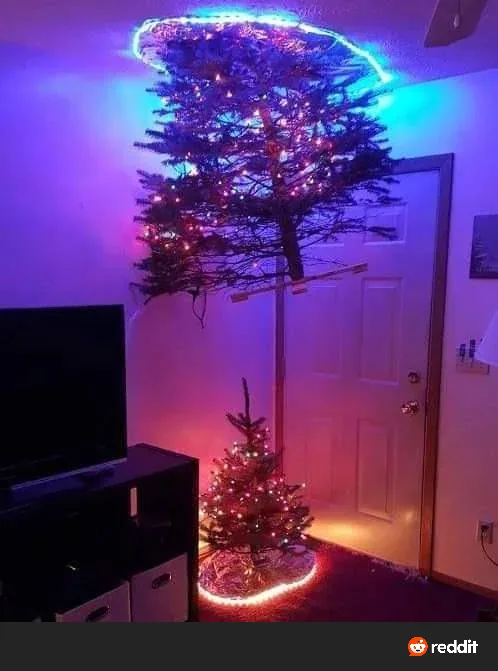 A large, bare evergreen tree is suspended upside down from the ceiling by a wooden pole, adorned with colorful string…