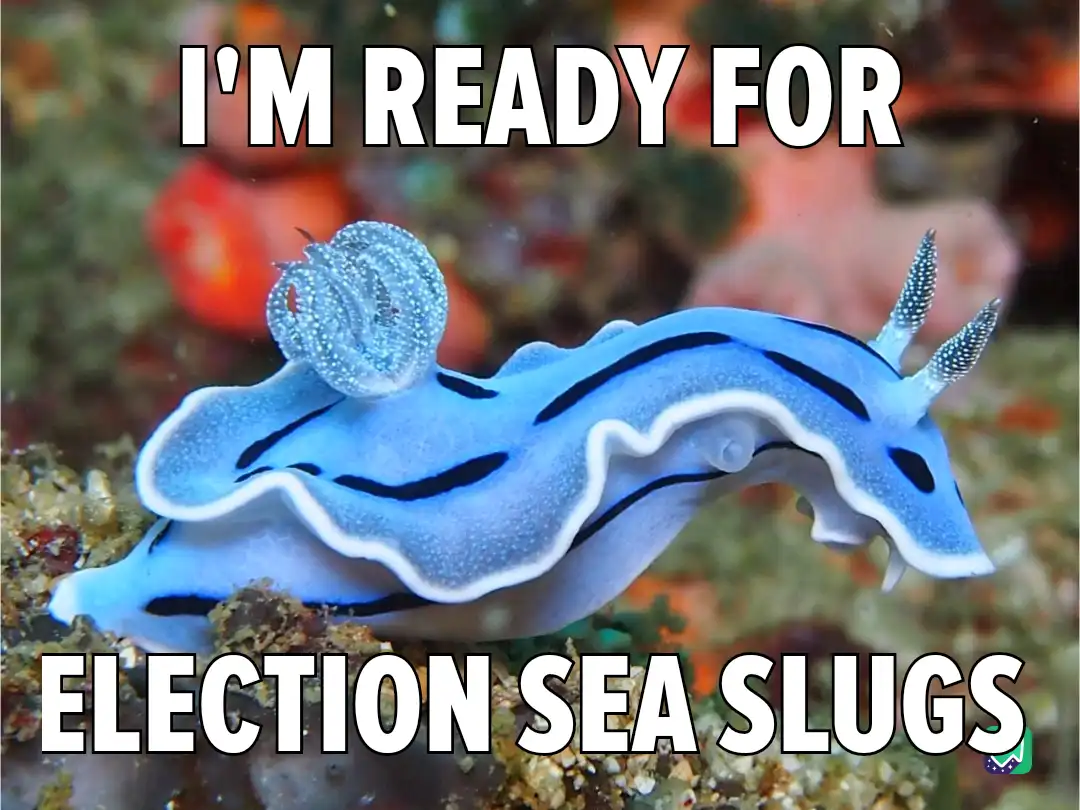 A vibrant blue sea slug with black stripes and white edges crawls across a colorful coral reef. The image has bold white…