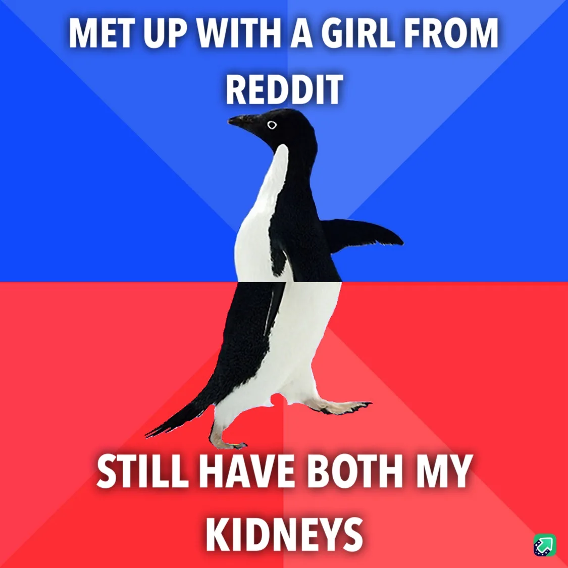 A penguin walks across a blue and red background, with white text at the top reading 'MET UP WITH A GIRL FROM REDDIT' and…