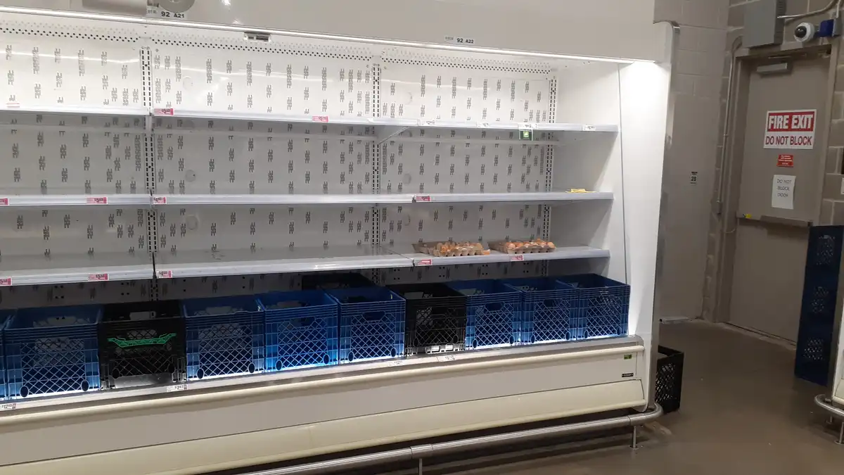 A nearly empty supermarket refrigerated aisle with only a few cartons of eggs remaining on one shelf, surrounded by blue and…