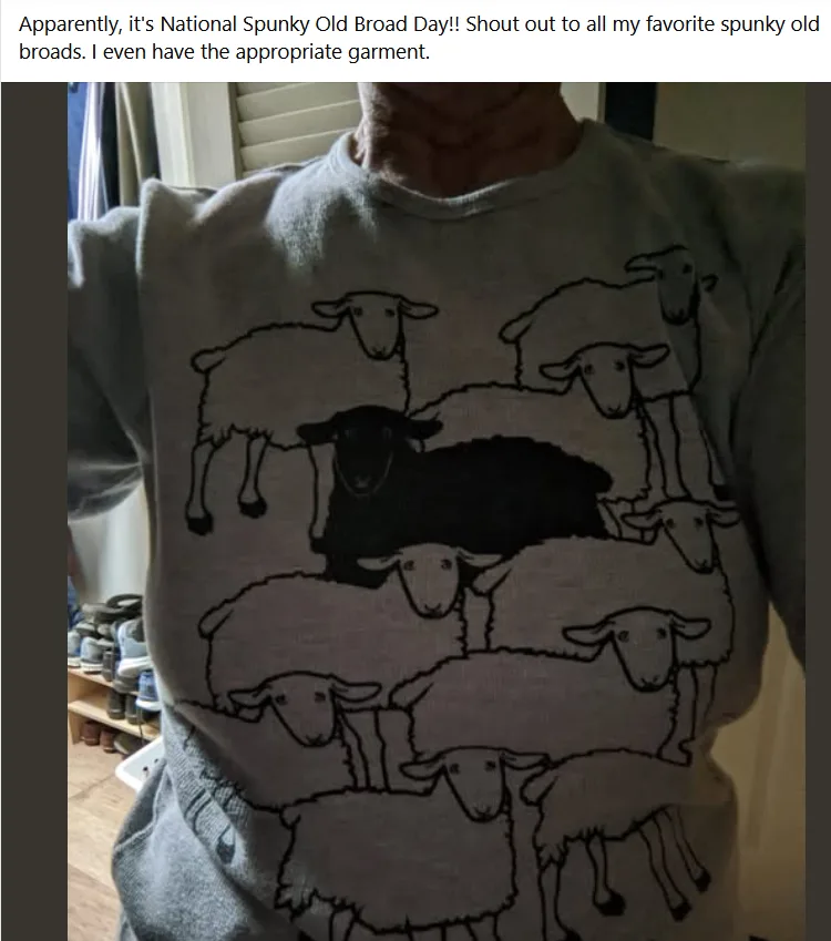 A person is wearing a grey sweatshirt featuring a graphic of a black sheep surrounded by white sheep. The overlaid text…