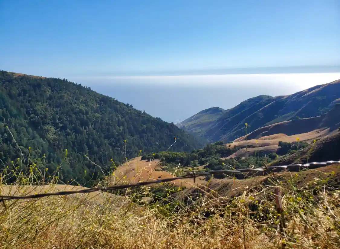 A scenic photo of rolling hills, forests, and ocean under a clear blue sky, with a barbed wire fence in the foreground…