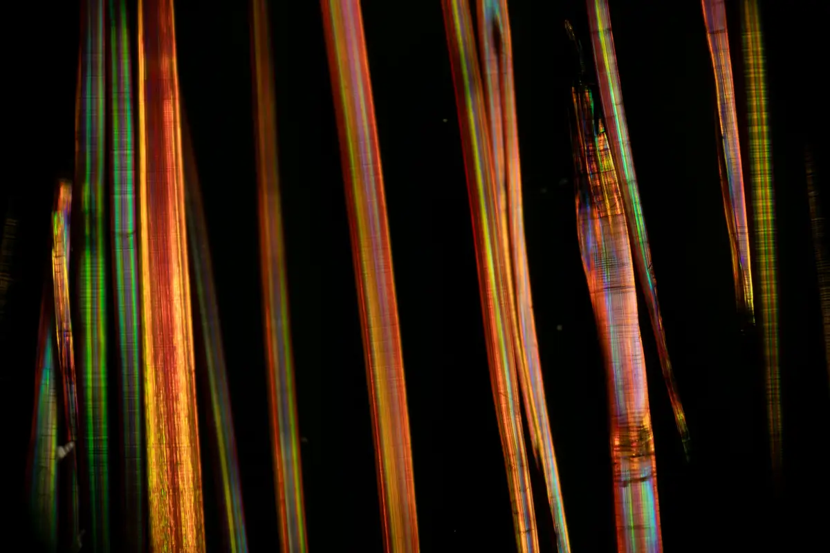 The image shows a close-up of several strands of hair against a black background, illuminated to reveal a rainbow-like…