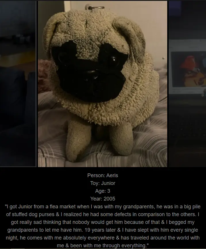 Day 754: Join Me on a Nostalgic Journey at www.saidtheskinhorse.com - Meet Junior, Our Newest Toy!