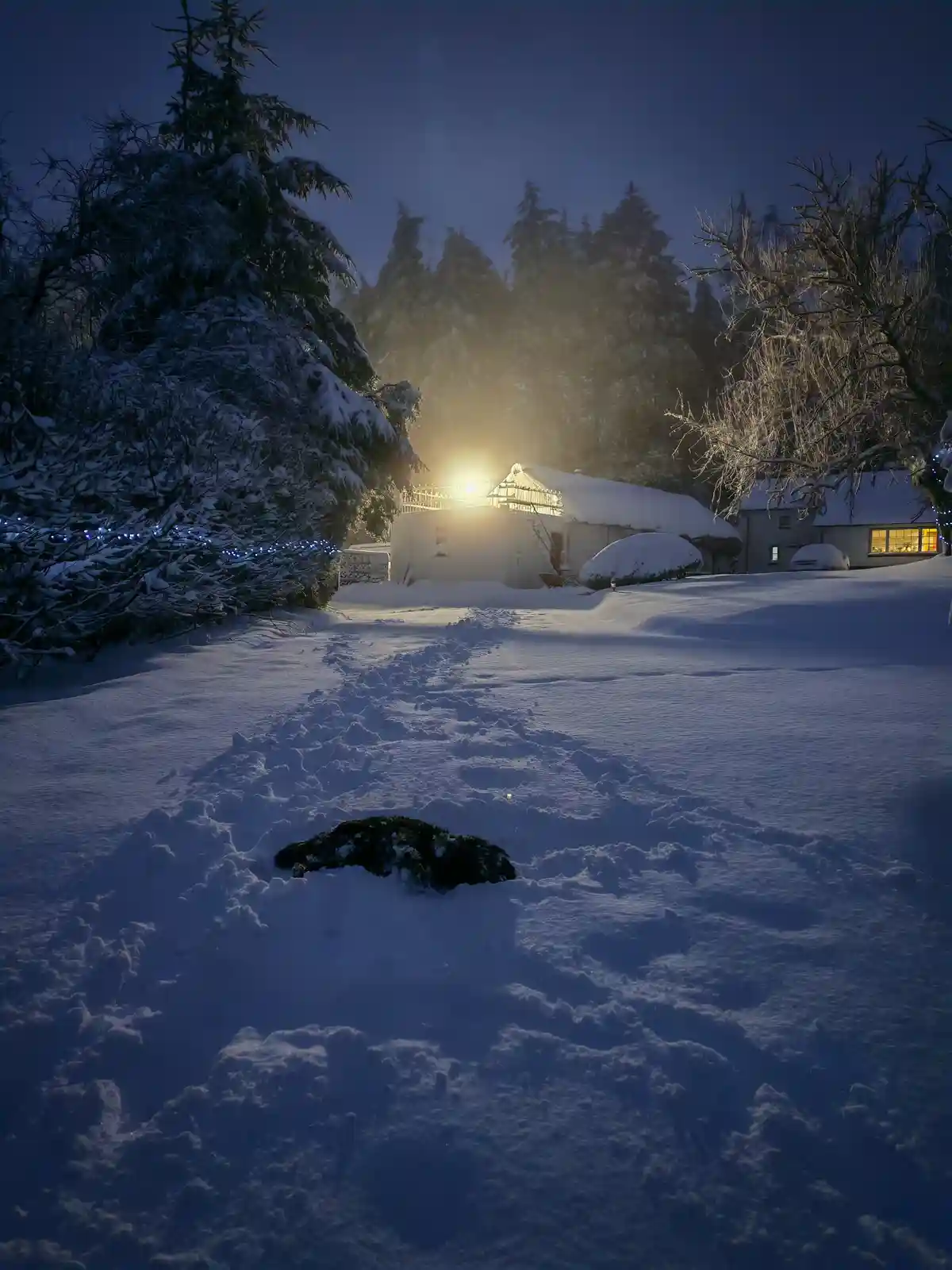 A snowy nighttime scene shows a path leading to a warmly lit house, with footprints in the snow and snow-covered trees. The…